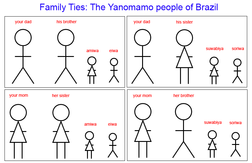 A cartoon showing the Yanomamo people of Brazil and their words for cousin.